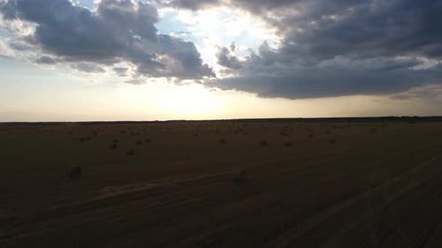Hay Bales On The Field
