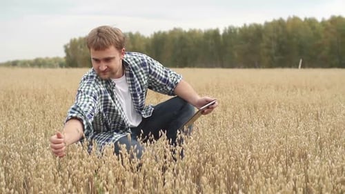 Man Using Tablet in Golden Wheat Field