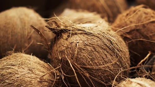 A Lot of Brown Coconut Closeup Spining on Background in Store for Buyer.