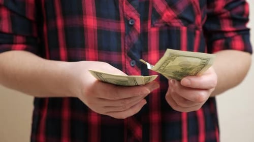 Woman Counts Dollar Banknotes Holding in Hands Closeup