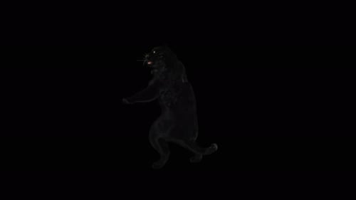 Dancing Black Panther Alpha Channel Animation