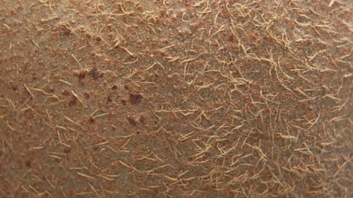 Macro Shot Of A Fresh Sliced Ripe Kiwi Fruit. Detailed View of Brown Hairs on Kiwi Skin Peel