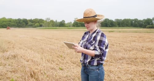 Woman Using Tablet in Harvested Wheat Field