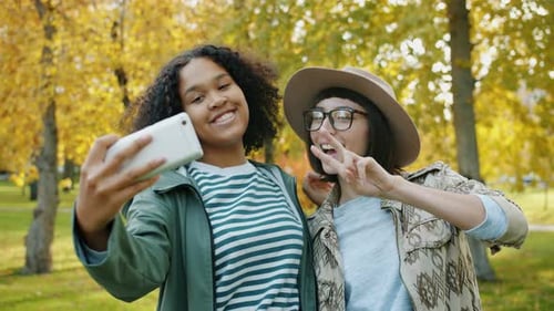 Glückliche Freundinnen machen Selfie im Park mit Smartphone-Kamera posieren lächelnd