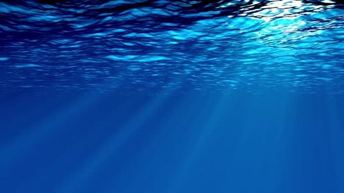 Fondo submarino