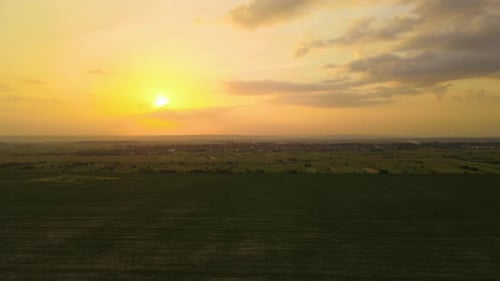 Aerial Landscape View of Green Cultivated Agricultural Fields with Growing Crops and Distant Village