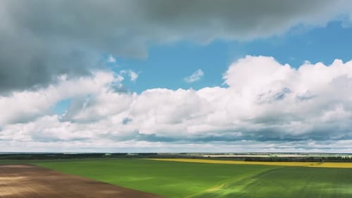 Countryside Rural Field Landscape With Young Wheat Sprouts In Spring Summer Cloudy Day