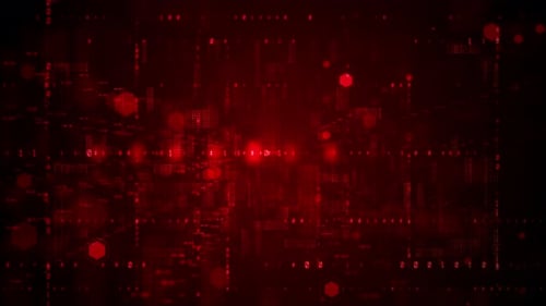 Digital Data Network Connections 937