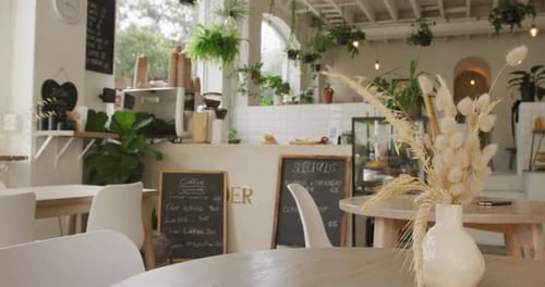 General view of modern cafe with counter, tables, chairs and plants
