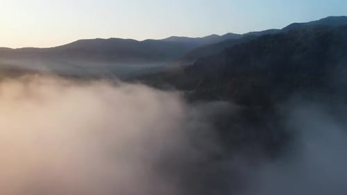 Aerial View of a Beautiful Evergreen Forest in Autumn Fog