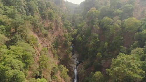 Tropische Landschaft Regenwald und Wasserfall