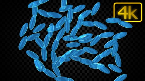 Multiplying Blue Organic Cells Background Animation