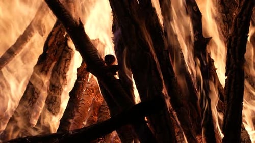 Bonfire 14