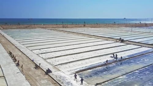 Local Workers Rake Salt on Plantations By Ocean