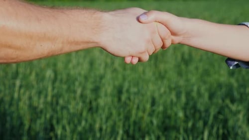 Man and Woman Shaking Hands in Grassy Field