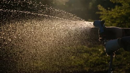 Händebewässerungsanlage mit Wasserschlauchsprinkler im Garten