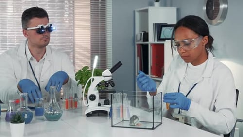 Scientists Working with Mouse in Bright Laboratory