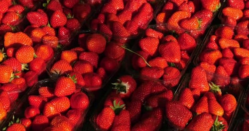 Strawberries for sale in an outdoor food market. Southern france.