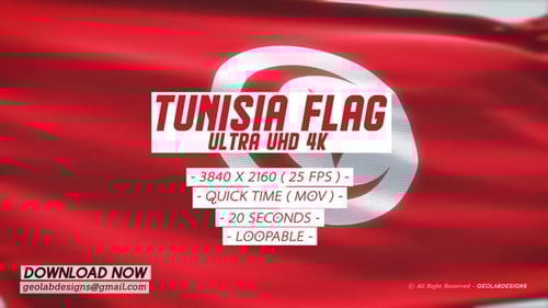 Photorealistic Tunisian Flag Waving Loop in Wind