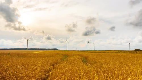 Wheat field and wind generators, time-lapse with crane
