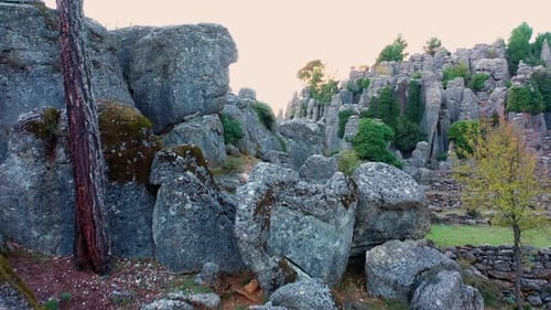 Picturesque Rock Formations with Lush Green Pine Trees at Mountain Valley