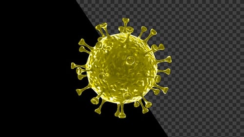 Corona Virus Visualization Covid 19 V14