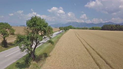 Straßenverkehr als nächstes Weizenfeld im Sommerland