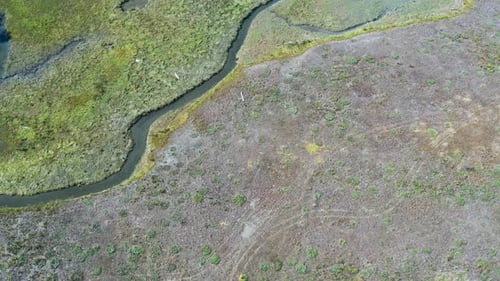 Über der Flussmündung entlang des grünen und hellbraunen Sandbusch-