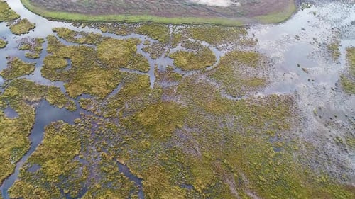 Aerial view of lake water connecting with wetland field, Netherlands.