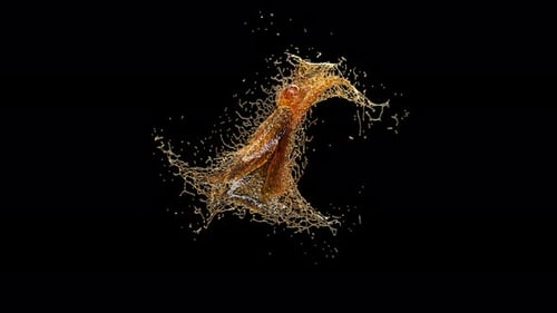 Drops of Beer Collide and Form a Spray Fluid Design.