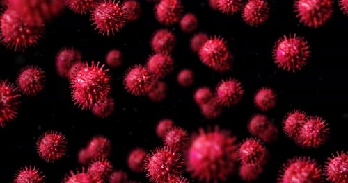 Microscopic Red Viruses Floating in Medical Science Animation