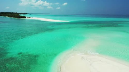 Aerial top view travel of tropical shore beach wildlife by clear ocean with white sand background of