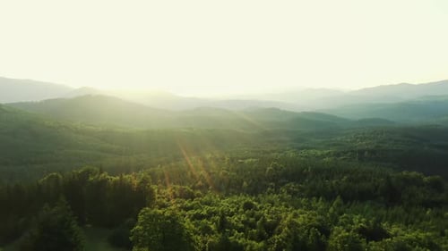 Vista de drone de um pôr do sol sobre densas florestas verdes, ampliando-se para pastagens verdes exuberantes em uma primavera