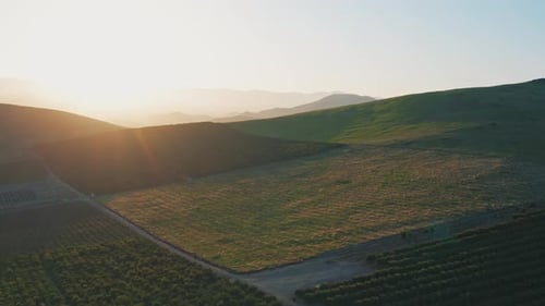 Aerial View of Rolling Green Hills at Sunset