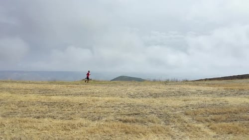 Cinematic aerial view of a sport man running on a countryside road