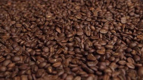 Rotating Coffee Bean Close Up Video