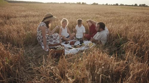 A Friendly Family with Children Sits Around an Impromptu Table During a Picnic in a Wheat Field on a