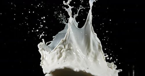Explodierende Milch vor schwarzem Hintergrund, Zeitlupe 4K