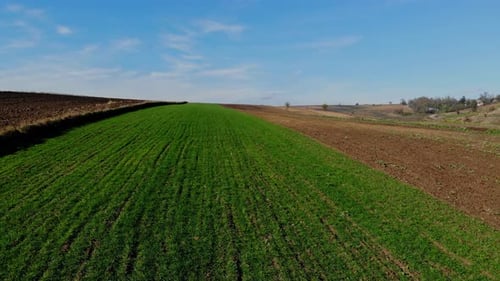 Aerial View of Green Crops and Farm Land