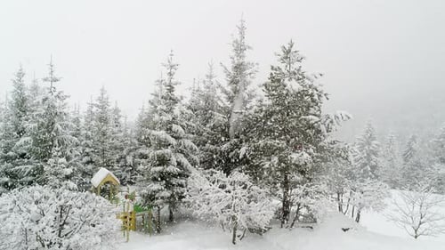 Winterkarpatenlandschaft, Weihnachtsbäume im Schnee.