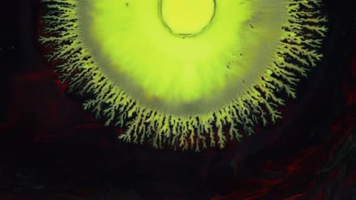 Crystal Germination