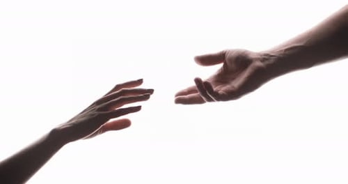 Reaching Hands Silhouette on Stark White Background
