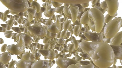 Flying of Cashews in White Background with Alpha Channel