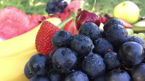 Fruits