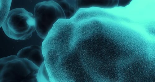 Glowing Microscopic Cells Organic Animation for Medical Science