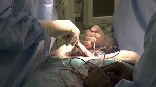 Medical Professionals Perform Intricate Surgery in Operating Room