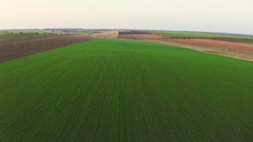 Flying Over an Green Empty Field