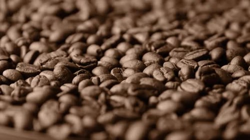 Coffee Beans Rotate Slowly