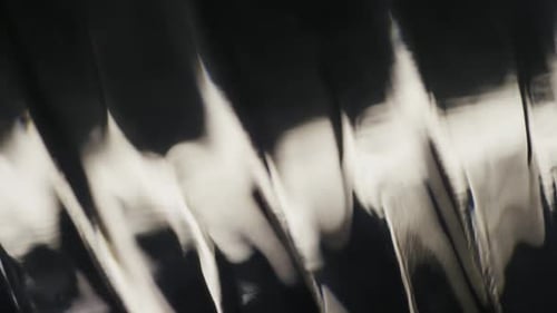 Cinematic Abstract Motion Background (No CGI used) 1253