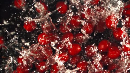 Super Slow Motion Ripe Cherry Falls Into the Water with Splashes